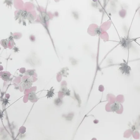 Ro's Lil San Juan 3* Alicante